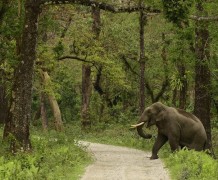 Day 3: Transfer to New Alipurduar Station